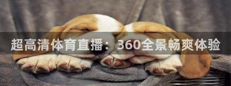 超高清体育直播：360全景畅爽体验