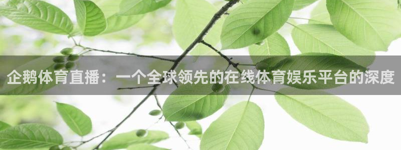企鹅体育直播：一个全球领先的在线体育娱乐平台的深度