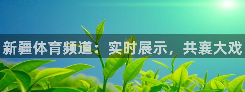 新疆体育频道：实时展示，共襄大戏