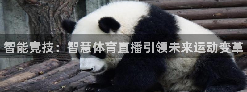 智能竞技：智慧体育直播引领未来运动变革