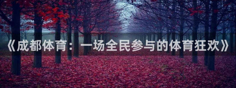 《成都体育：一场全民参与的体育狂欢》