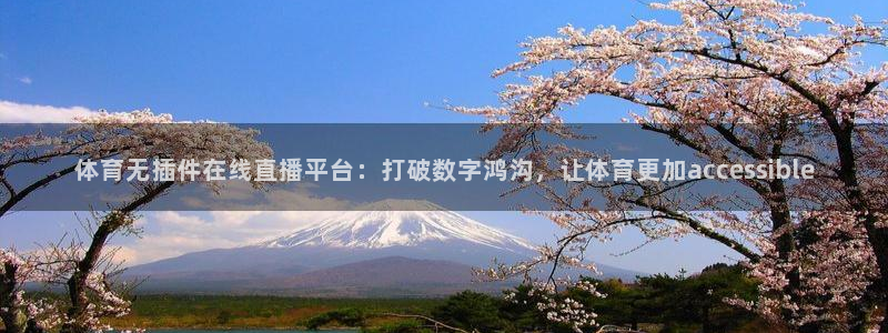 体育无插件在线直播平台：打破数字鸿沟，让体育更加accessible