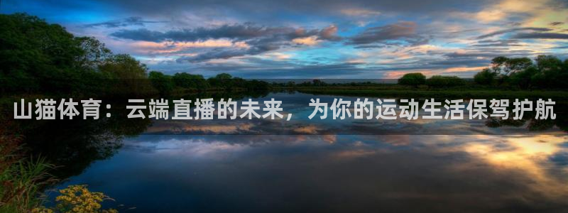 山猫体育：云端直播的未来，为你的运动生活保驾护航
