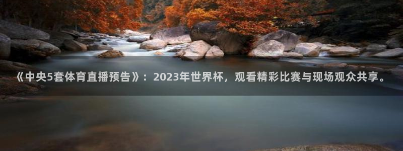 《中央5套体育直播预告》：2023年世界杯，观看精彩比赛与现场观众共享。