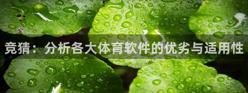 竞猜：分析各大体育软件的优劣与适用性