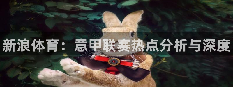 新浪体育：意甲联赛热点分析与深度