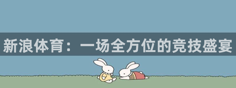 新浪体育：一场全方位的竞技盛宴