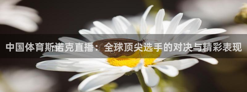 中国体育斯诺克直播：全球顶尖选手的对决与精彩表现