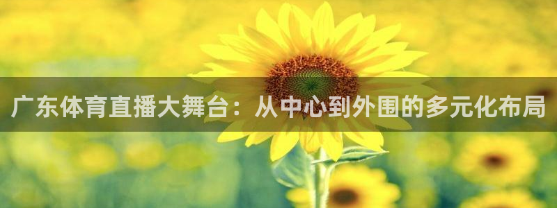 广东体育直播大舞台：从中心到外围的多元化布局