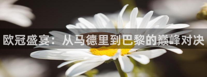 欧冠盛宴：从马德里到巴黎的巅峰对决