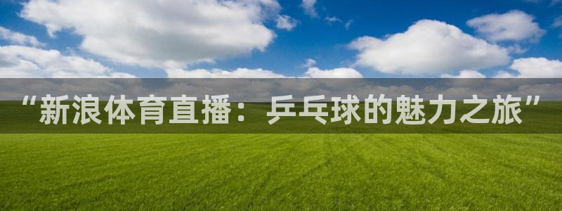 “新浪体育直播：乒乓球的魅力之旅”