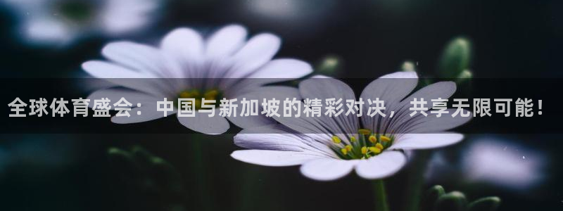全球体育盛会：中国与新加坡的精彩对决，共享无限可能！