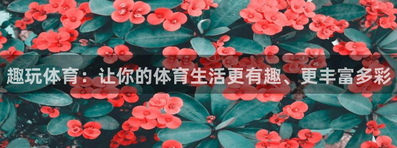 趣玩体育：让你的体育生活更有趣、更丰富多彩