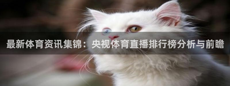 最新体育资讯集锦：央视体育直播排行榜分析与前瞻