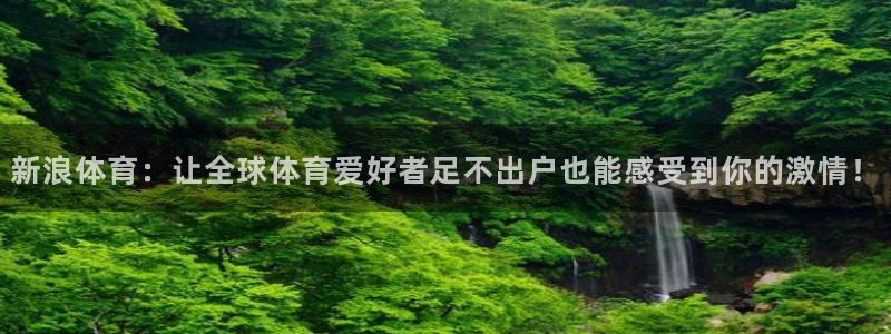 新浪体育：让全球体育爱好者足不出户也能感受到你的激情！
