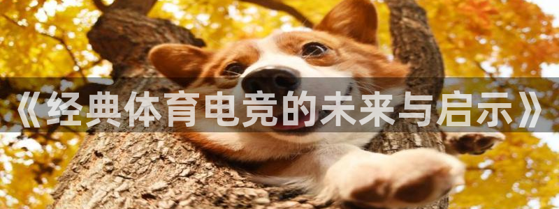 《经典体育电竞的未来与启示》