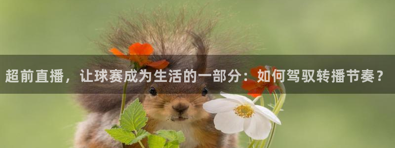 超前直播，让球赛成为生活的一部分：如何驾驭转播节奏？