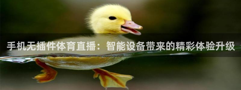 手机无插件体育直播：智能设备带来的精彩体验升级