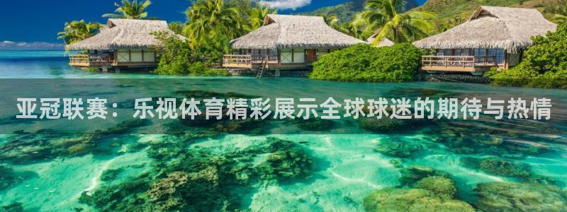亚冠联赛：乐视体育精彩展示全球球迷的期待与热情