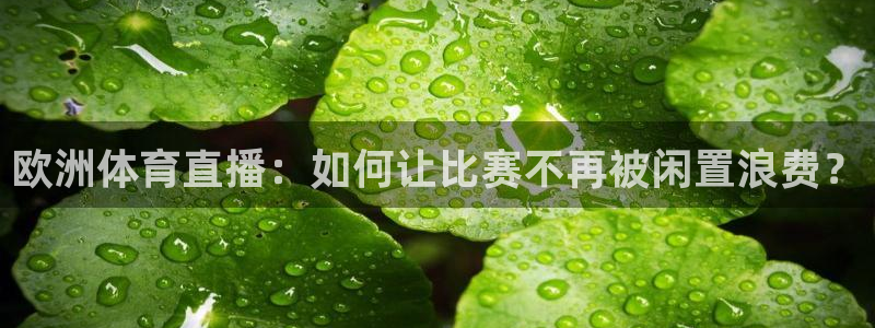 欧洲体育直播：如何让比赛不再被闲置浪费？
