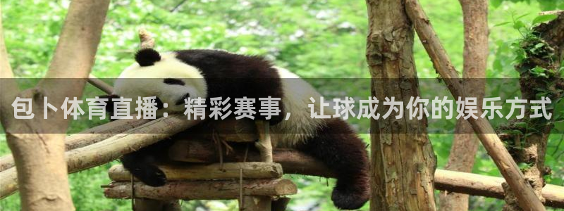 包卜体育直播：精彩赛事，让球成为你的娱乐方式