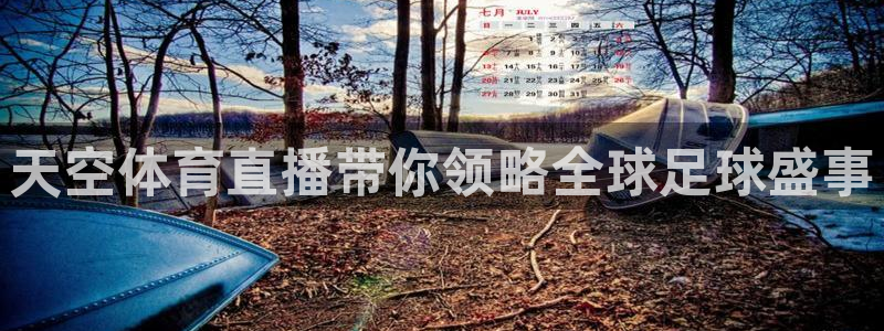 天空体育直播带你领略全球足球盛事