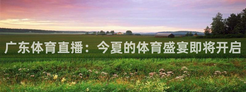 广东体育直播：今夏的体育盛宴即将开启