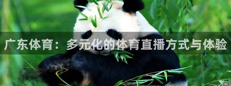 广东体育：多元化的体育直播方式与体验